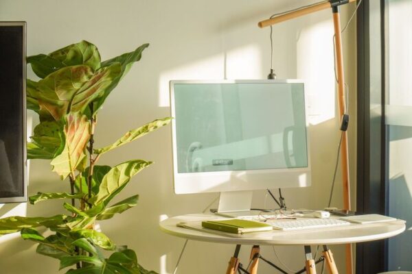 How to Create a Cozy and Productive Home Workspace