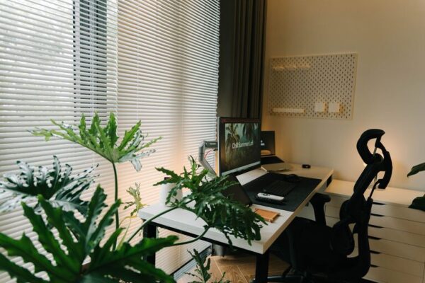 Tips for Creating a Cozy and Productive Home Office Space