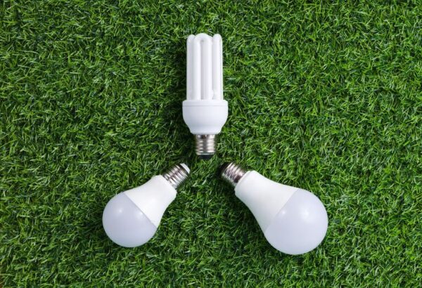 Tips for Creating a Sustainable and Eco-Friendly Home Environment